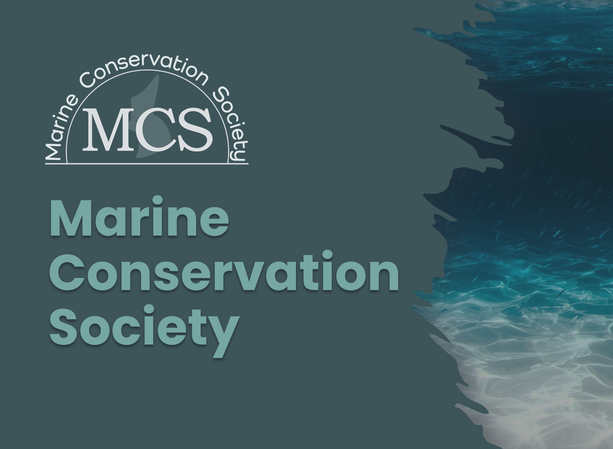 mcs cover